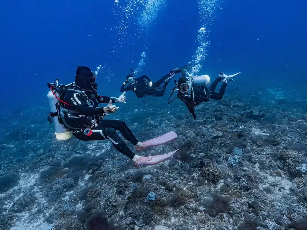 船體驗潛水