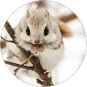 本丸 profile picture