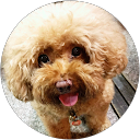 玹(Polaris) profile picture