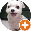 黃長 profile picture