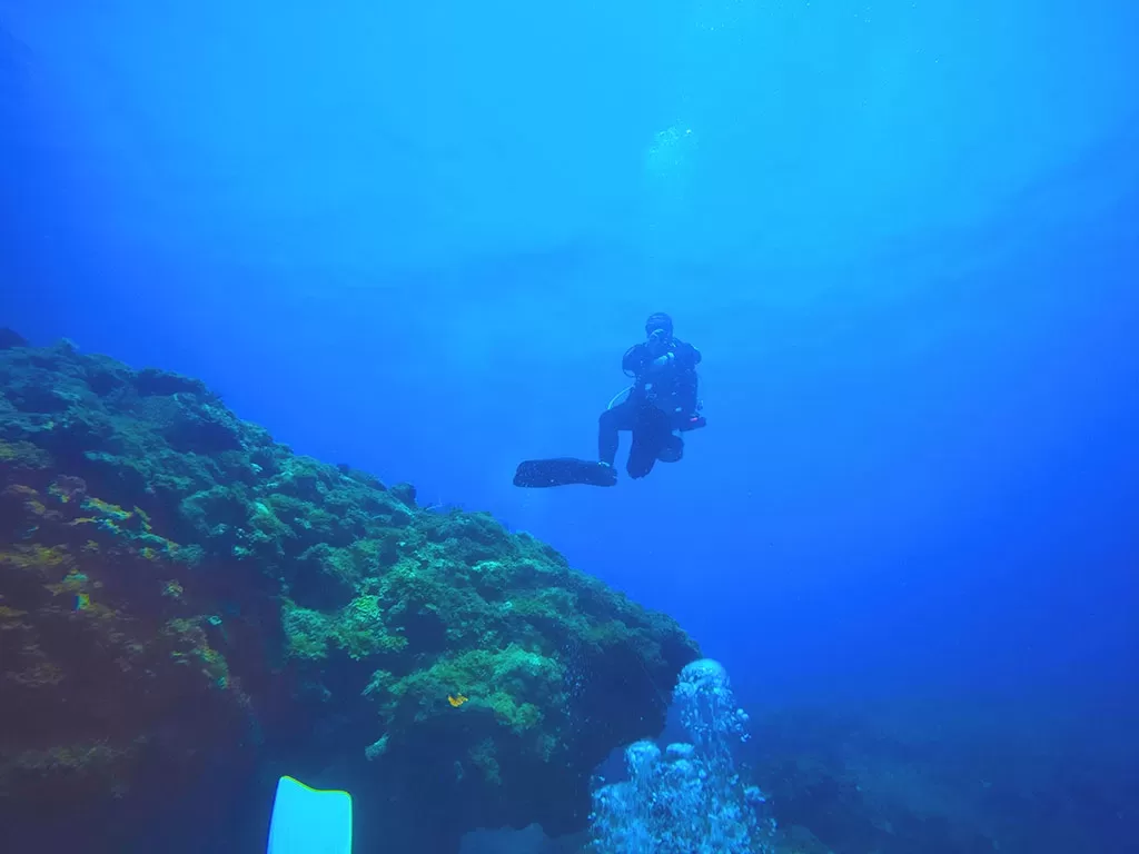 船潛 頂白沙 | 放流潛水