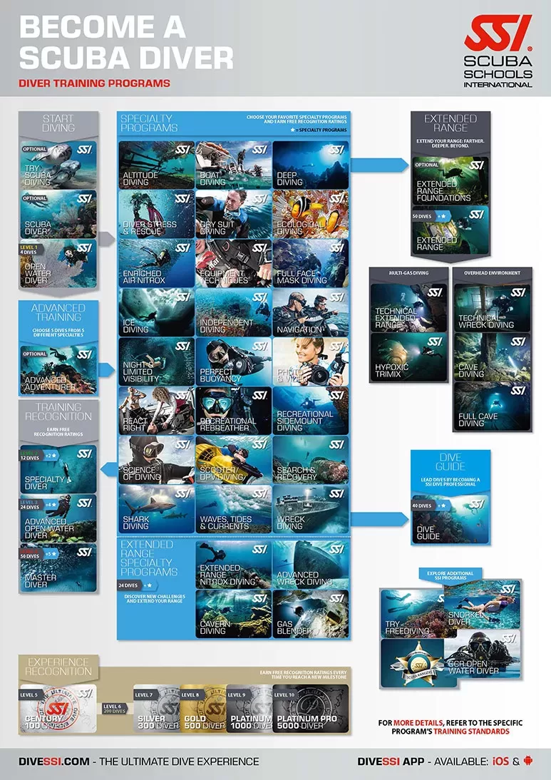 ssi diver path poster