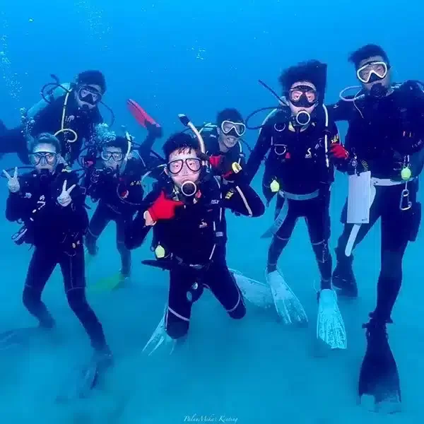 體驗潛水 | 入門潛水員