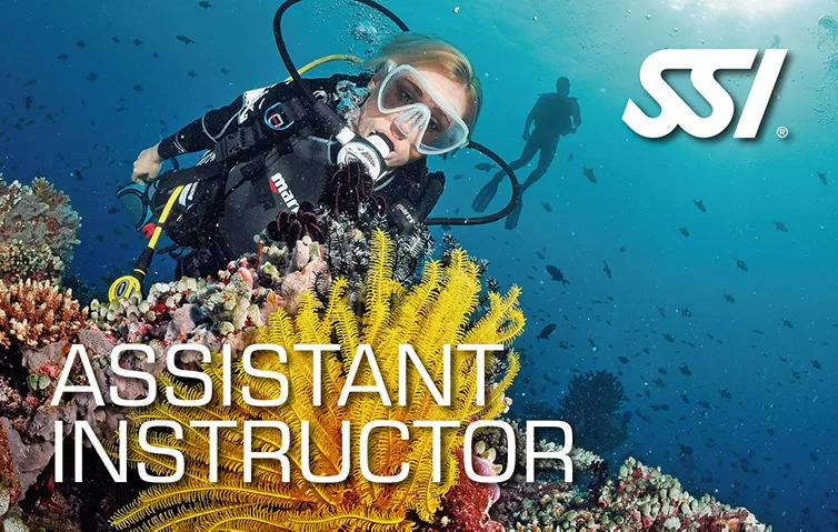 專業人士,潛導,潛水長,潛水教練,Scuba Instructor,scuba instructor course,潛水教練班