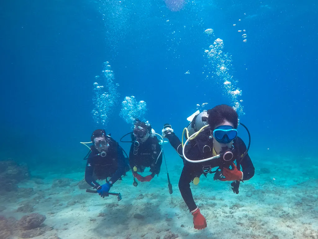 increase bottomtime01