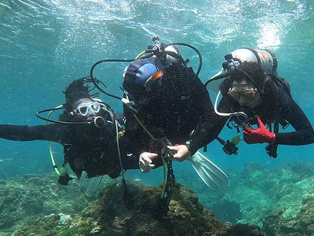 體驗潛水-入門潛水員